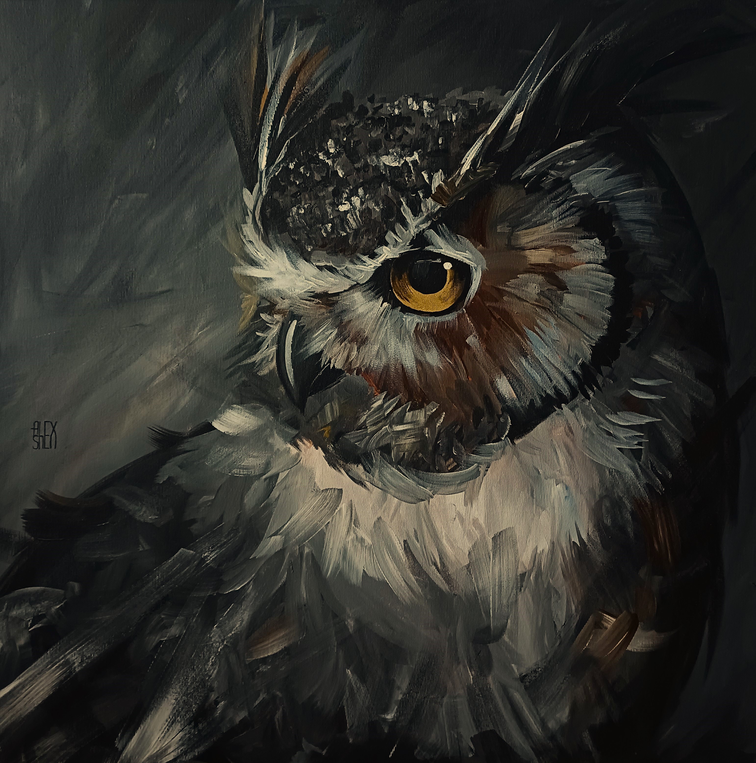 Owl